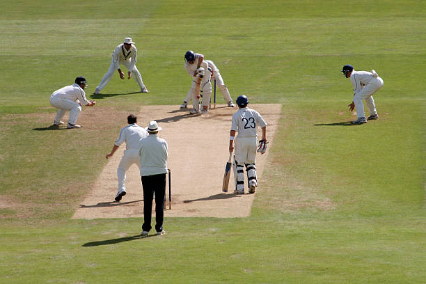 Understanding the role of data analytics in cricket betting