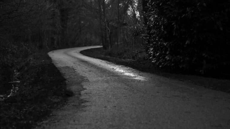 Why Is There A Version Called 11Xplay Pro Pro?